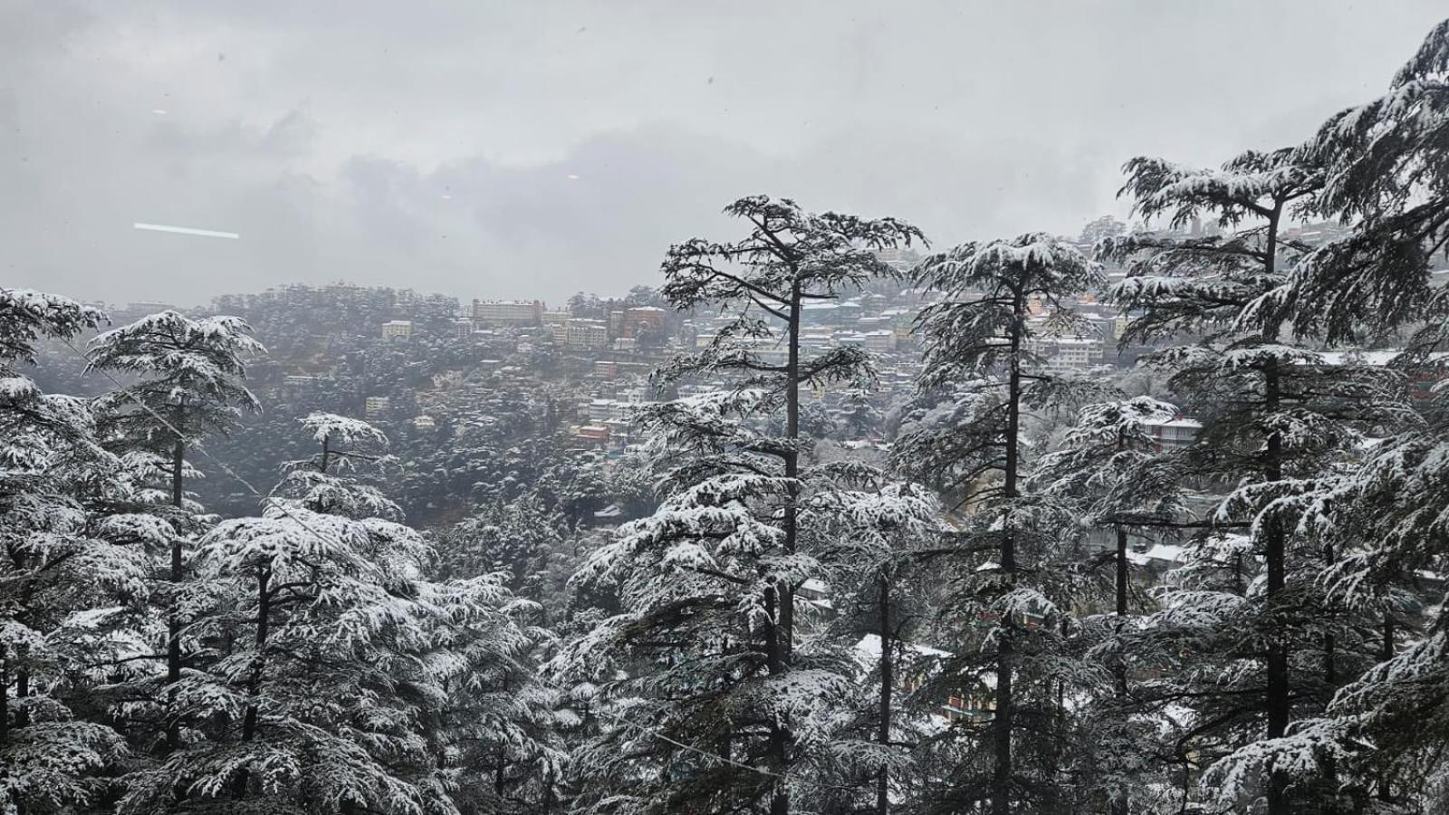 Mountain Zest- Simla Royale Near Mall Road Free Pickup From Railway Station Simla Экстерьер фото